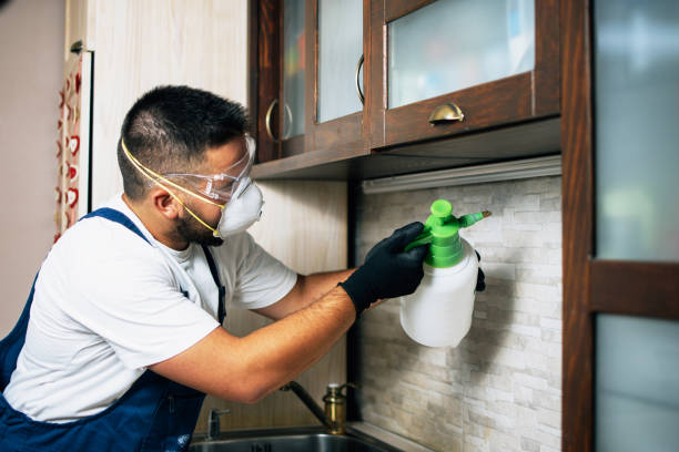 Best Best Pest Control Near Me  in Helena, AL
