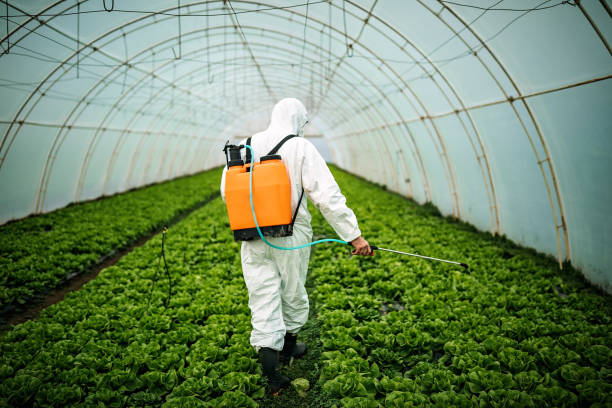Best Pest Control Near Me in Helena, AL