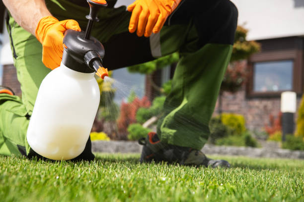 Best Pest Removal Services  in Helena, AL