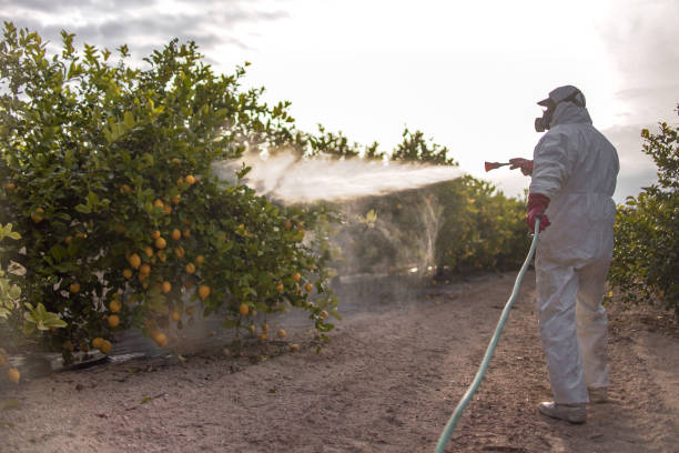 Professional Pest Control in Helena, AL