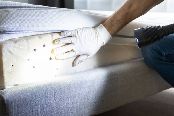 Best Local Pest Control Services  in Helena, AL