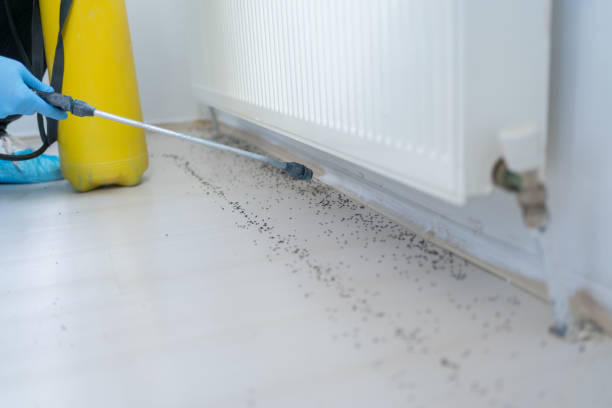 Pest Control Cost in Helena, AL