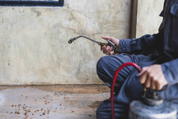 Wasp Removal Services in Helena, AL